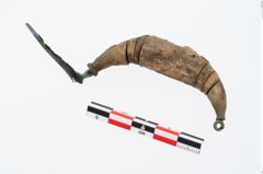 Foto von Bronzebügelbesatzfibel (NHMW-PRAE-026547)
